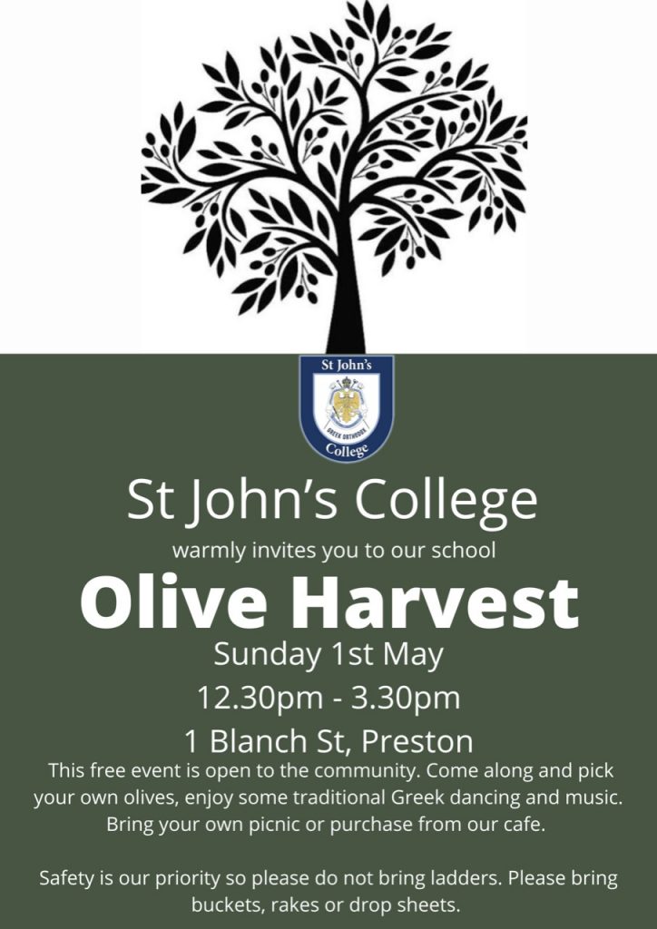 SJC Olive Harvest - 1